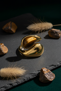 Tiger Eye ring portrait flat lay on dark slate with pampas grass and raw crystals